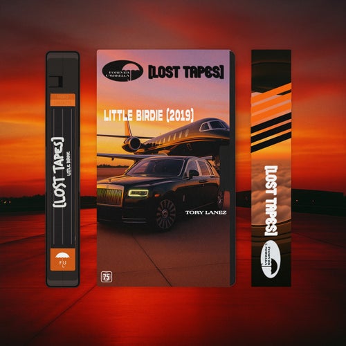 Little Birdie (Lost Tapes 2019)
