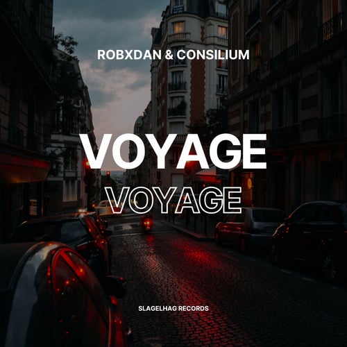 Voyage Voyage (Techno Remix)