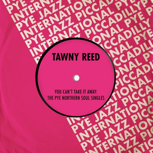 You Can't Take It Away: The Pye Northern Soul Singles