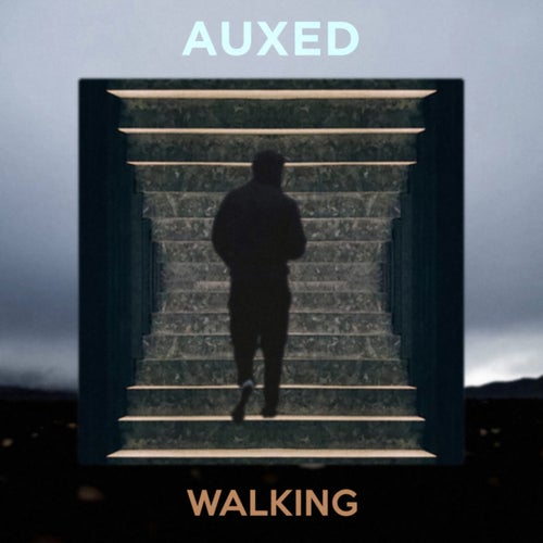 Walking