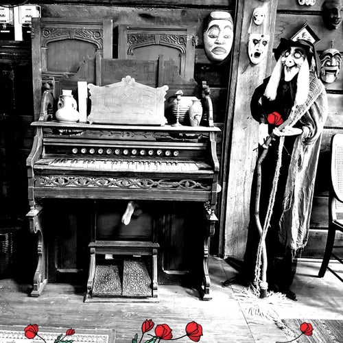 Coffin Groom