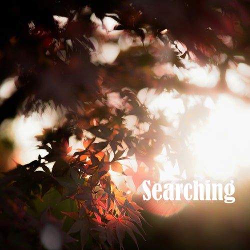 Searching