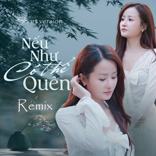 Nếu Như Có Thể Quên (Short Version)