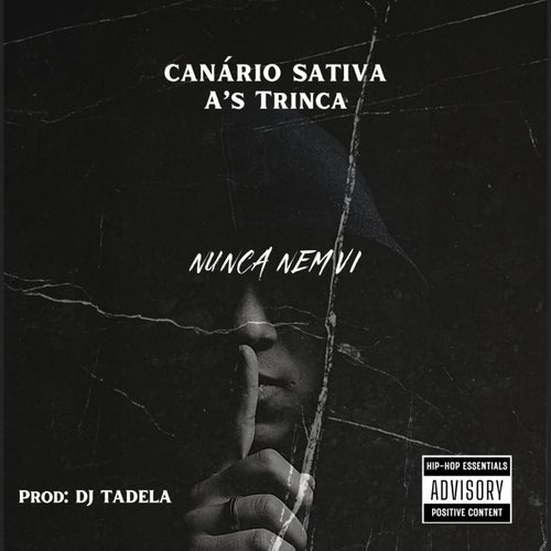 Nunca Nem Vi