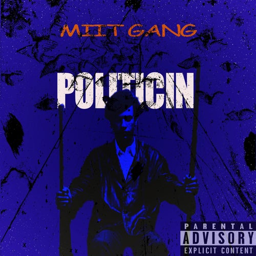 Politicin