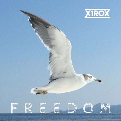 Freedom