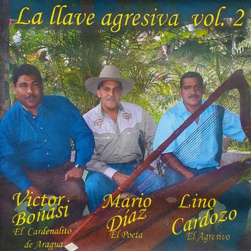 La Llave Agresiva (Vol.2)