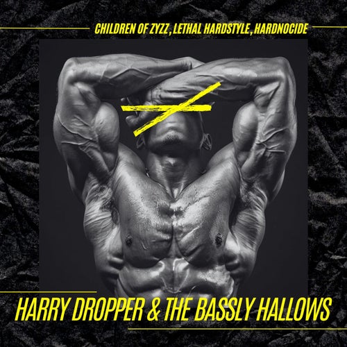 Harry Dropper & the Bassly Hallows (Hardstyle)