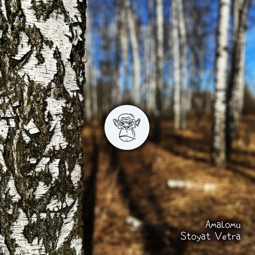 Stoyat Vetra