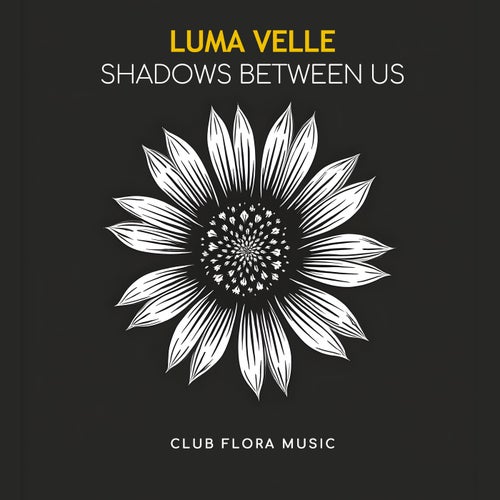Shadows Between Us
