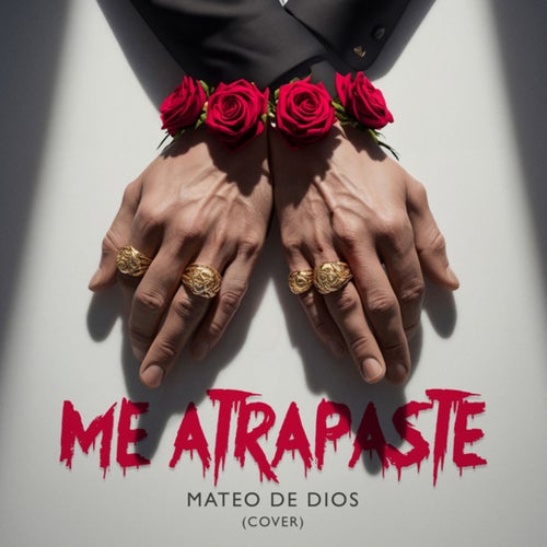 Me Atrapaste (Cover)