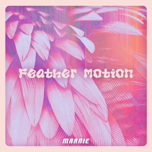 Feather Motion