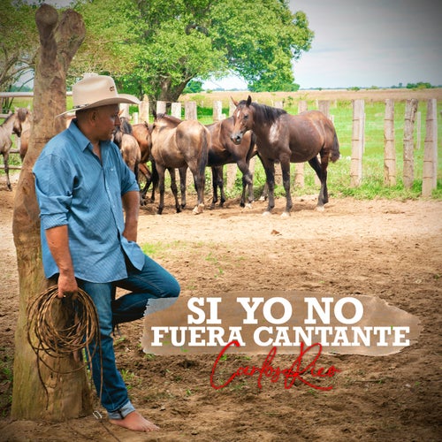 Si Yo no Fuera Cantante