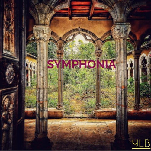 ORCHESTRA