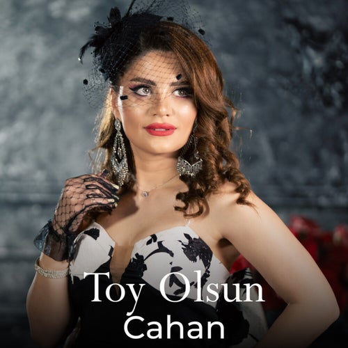 Toy Olsun