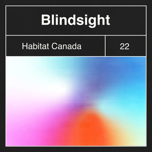 Blindsight