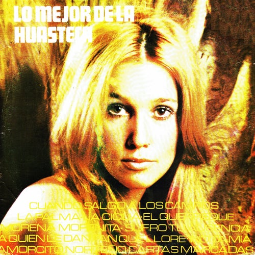 Lo mejor de la huasteca