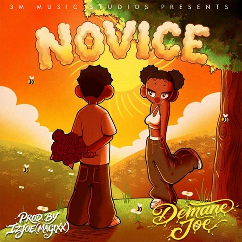 NOVICE