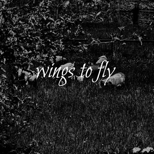 wings to fly