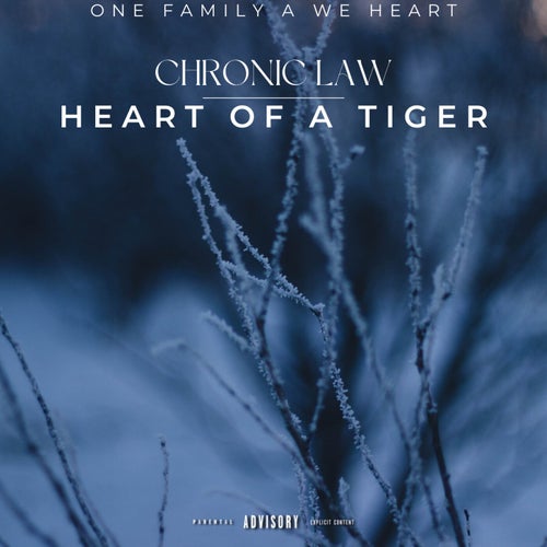 Heart Of A Tiger