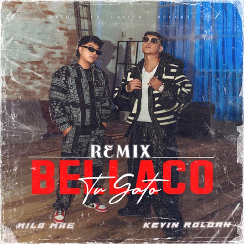 Tu Gato Bellaco (Remix)