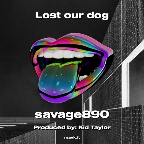 Lost our dog