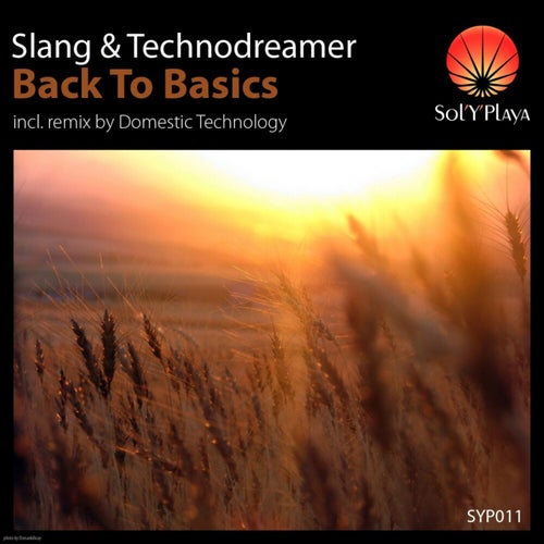 Back to Basics (Domestic Technology Remix)