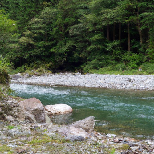 Rivers
