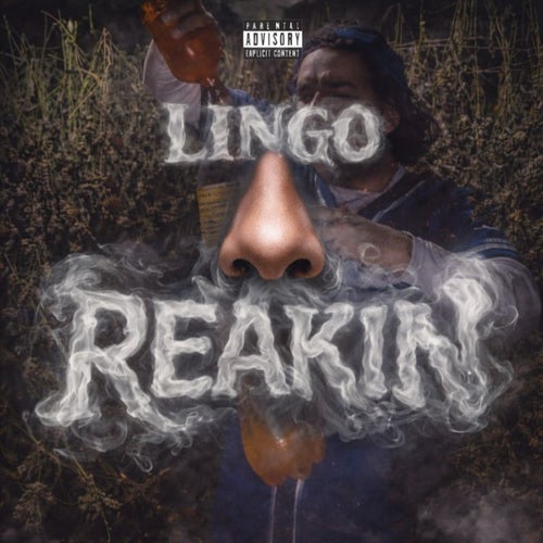 Release of the week