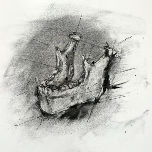 Jaw Song