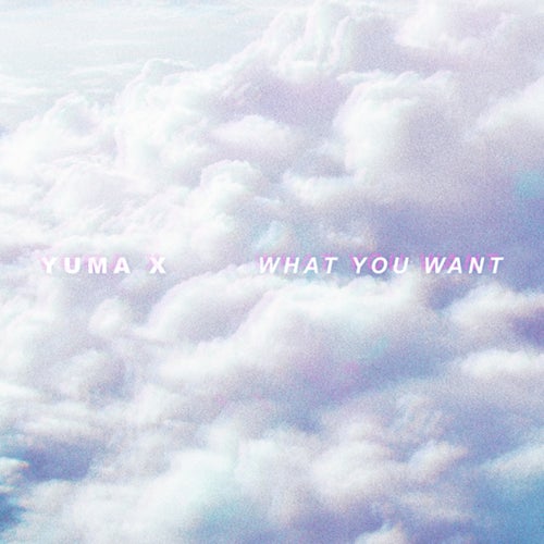 What You Want