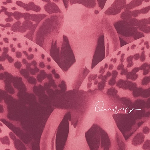Release of the week