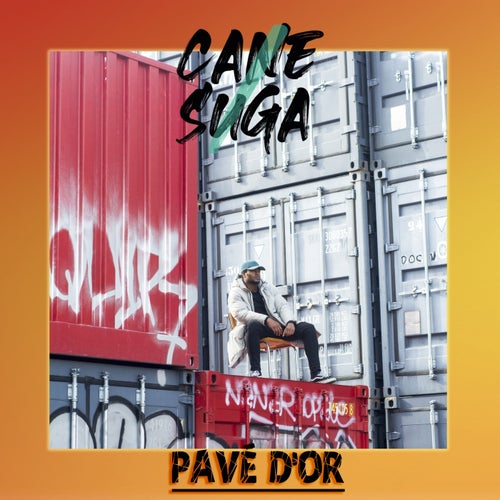 Pave d'or