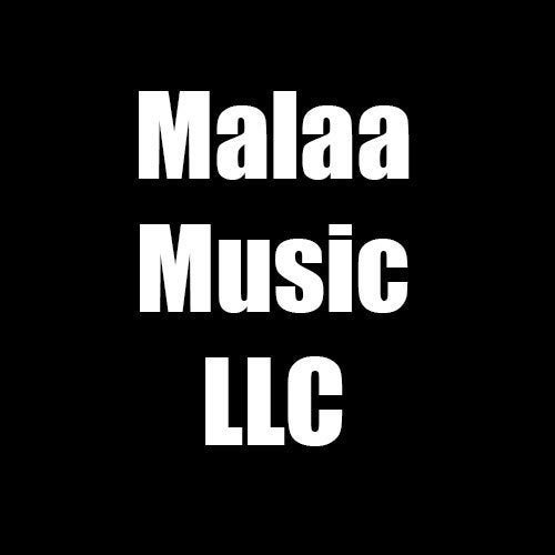 Malaa Music LLC Profile