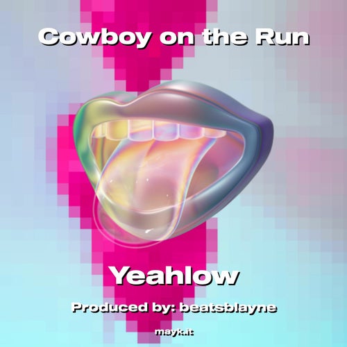 Cowboy on the Run