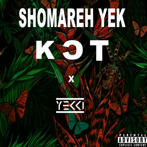 Release of the week