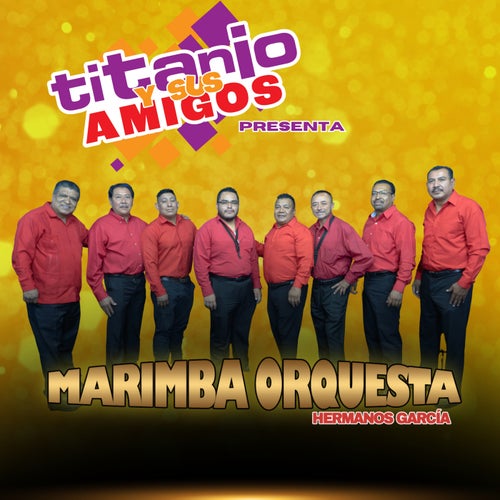 Titanio y Sus Amigos Presenta a Marimba Orquesta Hermanos García (En Vivo)