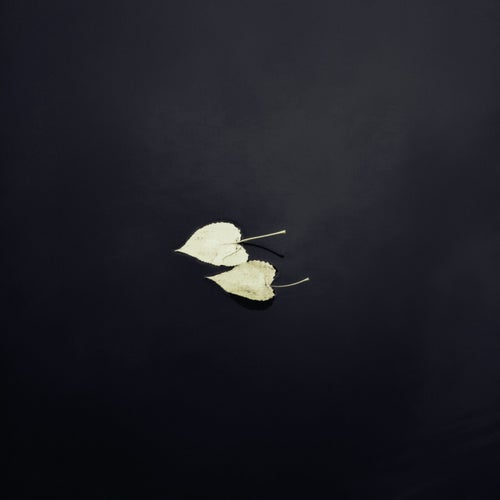 Can I Love You (Slowed & Reverb)