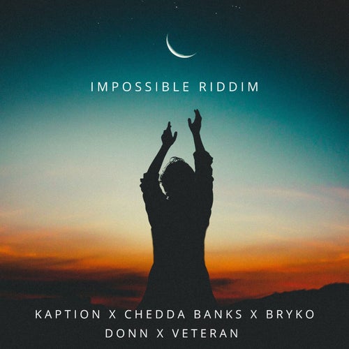 IMPOSSIBLE RIDDIM