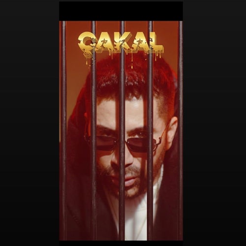 ÇAKAL