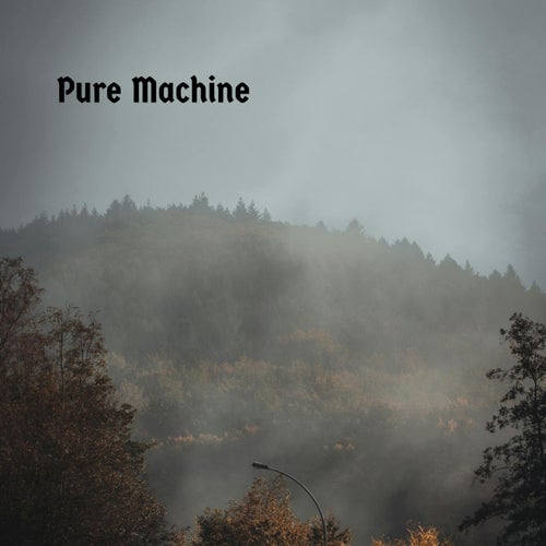 Release of the week