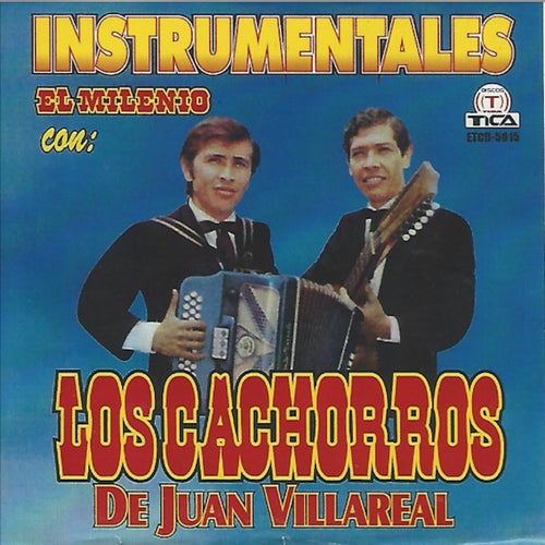 Instrumentales el Milenio