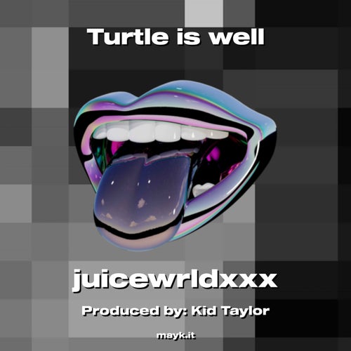 Turtle is well