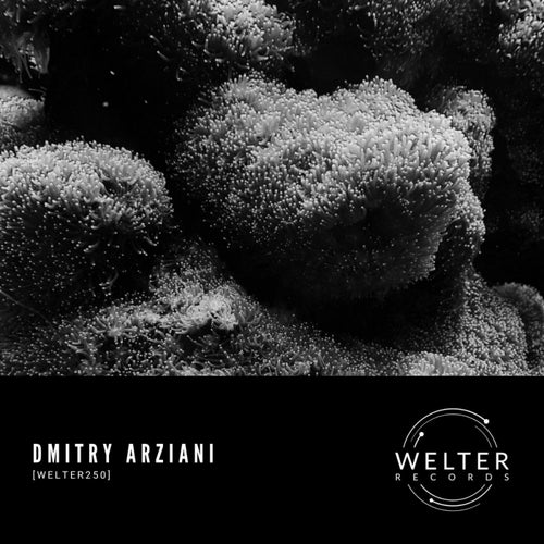 [WELTER250]