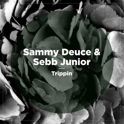 Sammy Deuce Profile