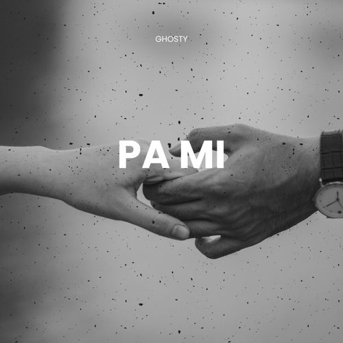 PA MI