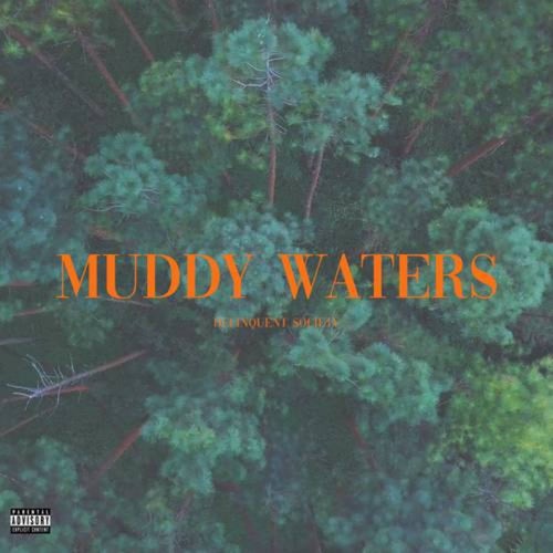 Muddy Waters
