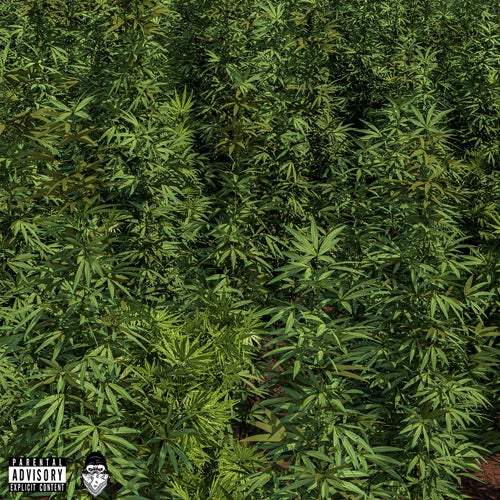 I'm On it (feat. Ronnie Real)
