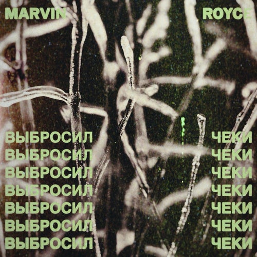 Выбросил чеки