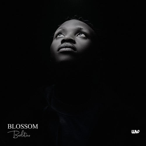 Blossom